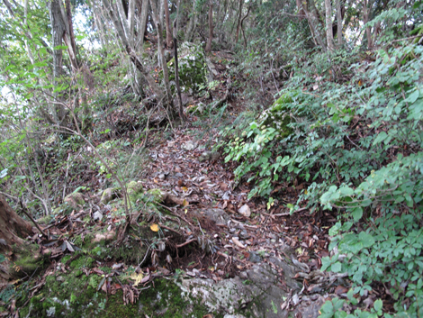 20181009hike (192)